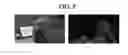 Fig. 09 - Thumbnail management