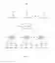 Fig. 02 - SYSTEM FOR CREATING SEPARATE DATA SERVING SPACES FOR EACH MOBILE CARRIER IN A PLURALITY OF MOBILE CARRIERS