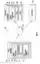 Fig. 07 - Determining two-dimensional images using three-dimensional models