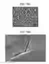 Fig. 28 - Methods and devices for modeling the eye