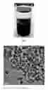 Fig. 03 - UNIFORM NANOCOMPOSITIONS, METHODS OF MAKING THE SAME, AND USES OF THE SAME