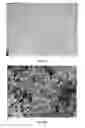 Fig. 06 - UNIFORM NANOCOMPOSITIONS, METHODS OF MAKING THE SAME, AND USES OF THE SAME