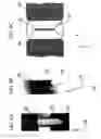 Fig. 07 - Exposure apparatus