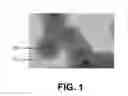 Fig. 02 - Method and apparatus of applying light and heat to quantum dots to increase quantum yield