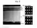 Fig. 10 - Monocrystalline magneto resistance element, method for producing the same and method for using same