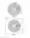 Fig. 07 - Gas distribution element for a fuel cell
