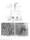 Fig. 02 - Phytic acid based metallogel and applications thereof