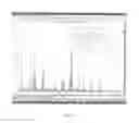 Fig. 06 - Phytic acid based metallogel and applications thereof