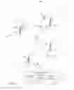 Fig. 02 - Computational syndrome detectors