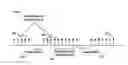 Fig. 01 - RANDOM ACCESS PROCEDURE IN A WIRELESS NETWORK