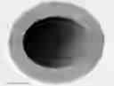 Fig. 01 - PET POTTY