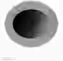 Fig. 02 - PET POTTY
