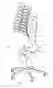 Fig. 02 - Backrest for an office chair
