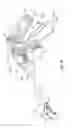 Fig. 09 - Surgical device with DC power connection
