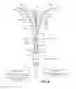 Fig. 07 - Methods and systems for endometrial ablation utilizing radio frequency