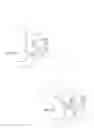 Fig. 06 - Magnetic satiety inducing system