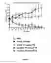 Fig. 06 - Amphiphilic block copolymers for delivery of active agents