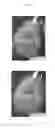 Fig. 02 - PHARMACEUTICAL AGENT