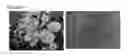 Fig. 02 - Preparation of and formulation comprising a MEK inhibitor