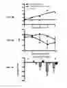 Fig. 06 - Methods and compositions for prevention and treatment of cardiac hypertrophy