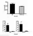 Fig. 07 - Methods and compositions for prevention and treatment of cardiac hypertrophy