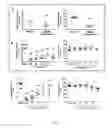 Fig. 02 - METHODS OF TREATMENT USING SELECTIVE BCL-2 INHIBITORS