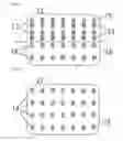 Fig. 03 - Compositions and methods for maintaining cognitive function