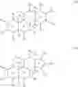 Fig. 22 - Methods for treating fungal infections