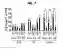 Fig. 06 - Composition for inducing proliferation or accumulation of regulatory T cells