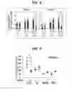 Fig. 07 - Composition for inducing proliferation or accumulation of regulatory T cells