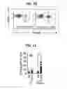 Fig. 08 - Composition for inducing proliferation or accumulation of regulatory T cells