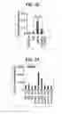 Fig. 30 - Composition for inducing proliferation or accumulation of regulatory T cells