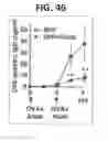 Fig. 35 - Composition for inducing proliferation or accumulation of regulatory T cells