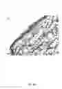 Fig. 09 - PROMOTING EPITHELIAL REGENERATION USING HEPARIN BINDING EPIDERMAL GROWTH FACTOR LIKE GROWTH FACTOR