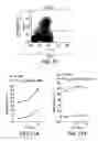 Fig. 07 - Cancer vaccine composition