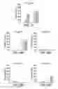 Fig. 20 - Cancer vaccine composition