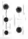Fig. 03 - Multifunctional metallic nanoparticle-peptide bilayer complexes