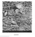 Fig. 06 - Chitosan superfine fiber systems