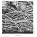 Fig. 07 - Chitosan superfine fiber systems