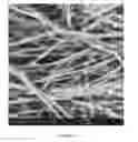 Fig. 08 - Chitosan superfine fiber systems