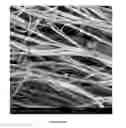 Fig. 16 - Chitosan superfine fiber systems