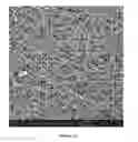 Fig. 17 - Chitosan superfine fiber systems