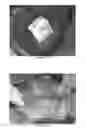 Fig. 32 - Chitosan superfine fiber systems