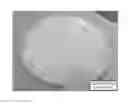 Fig. 01 - Conformable composition for skin applications