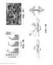 Fig. 03 - Elastic biopolymer and use as a tissue adhesive