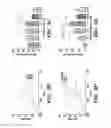 Fig. 04 - Elastic biopolymer and use as a tissue adhesive