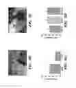 Fig. 10 - Elastic biopolymer and use as a tissue adhesive