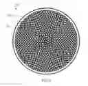 Fig. 06 - ADHESIVE COMPOSITIONS AND PATCHES, AND ASSOCIATED SYSTEMS, KITS, AND METHODS