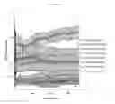 Fig. 13 - Composite Bone Implants