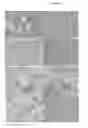 Fig. 14 - Composite Bone Implants